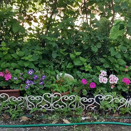 Apartman Svilno Fiume Kültér fotó